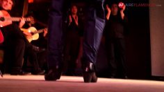 [ID: hmO6bjpRWaI] Youtube Automatic