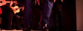 [ID: hmO6bjpRWaI] Youtube Automatic