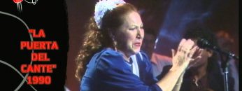 [ID: hPYAyTP1QgU] Youtube Automatic