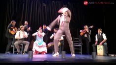 [ID: hUIRaivQGX0] Youtube Automatic