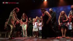 [ID: hwWS5dFd2bc] Youtube Automatic