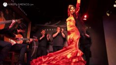 [ID: hxGeUZ9jj-4] Youtube Automatic