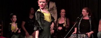 [ID: i113HfqC-5g] Youtube Automatic