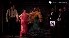 [ID: i_5Ono4WNTQ] Youtube Automatic