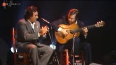 [ID: i9qCUb0NHvI] Youtube Automatic