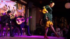 [ID: iHW0HL8an2Y] Youtube Automatic