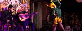 [ID: iHW0HL8an2Y] Youtube Automatic