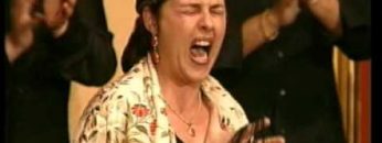 [ID: iIhdrVsdH6A] Youtube Automatic