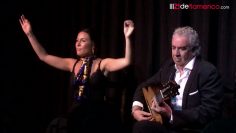 [ID: IL8OGyMY7hI] Youtube Automatic