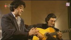 [ID: imqkx2_adi8] Youtube Automatic