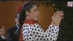 [ID: ipahx9vzPHE] Youtube Automatic