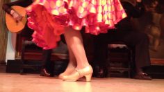 [ID: IV-ZiCwK2ug] Youtube Automatic