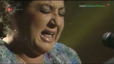 [ID: I_wV51h9S7c] Youtube Automatic