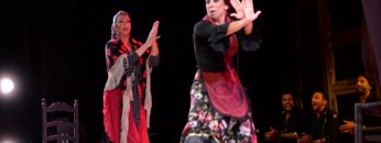 [ID: IXeDrapkiv4] Youtube Automatic