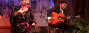 [ID: J-25cPy9oMU] Youtube Automatic