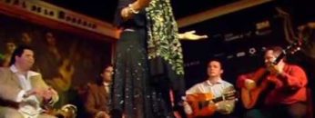 [ID: J5SHm-OB2Es] Youtube Automatic