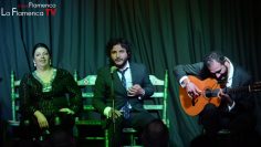 [ID: J5Sye_BPquY] Youtube Automatic