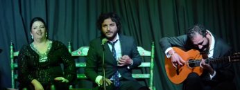 [ID: J5Sye_BPquY] Youtube Automatic