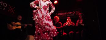 [ID: J81nsGMyGG8] Youtube Automatic