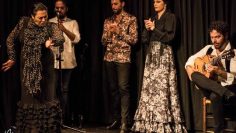 [ID: j91CmR-0BJc] Youtube Automatic