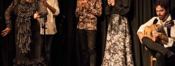 [ID: j91CmR-0BJc] Youtube Automatic