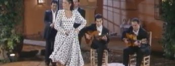 [ID: jA1dKpJJ6A8] Youtube Automatic