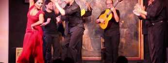 [ID: JA5EapgBjVg] Youtube Automatic