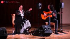 [ID: jBYNUyYFAWs] Youtube Automatic