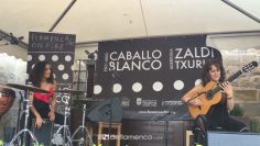 [ID: jEtPRUvJq-o] Youtube Automatic