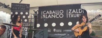 [ID: jEtPRUvJq-o] Youtube Automatic