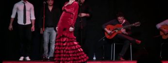 [ID: JmtmNlGKK4g] Youtube Automatic