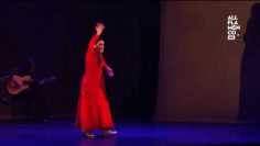 [ID: JN_ZV0nvtg4] Youtube Automatic