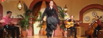 [ID: JP2l5d-G1Tg] Youtube Automatic