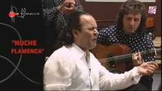 [ID: JQ9RLSSg7ss] Youtube Automatic