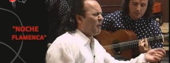 [ID: JQ9RLSSg7ss] Youtube Automatic