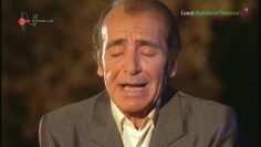 [ID: jsdJZ6_CkTE] Youtube Automatic