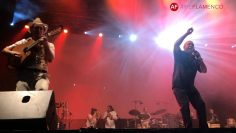 [ID: jTe7Js_wgmQ] Youtube Automatic