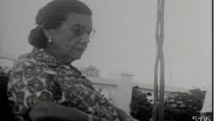 [ID: JV0JwdU8YG4] Youtube Automatic