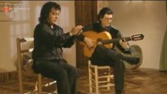 [ID: JVAOq8EGl-k] Youtube Automatic