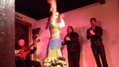 [ID: JxVkw-_2X7o] Youtube Automatic