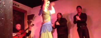 [ID: JxVkw-_2X7o] Youtube Automatic