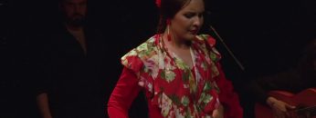 [ID: jzzlxQupaFU] Youtube Automatic