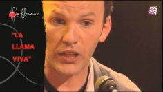 [ID: k71pNTXBlys] Youtube Automatic