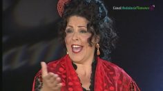 [ID: _K8QXzOWi3k] Youtube Automatic