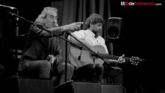 [ID: kd8WshpEq4o] Youtube Automatic