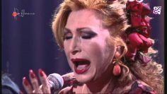 [ID: ke32fFtVxrU] Youtube Automatic