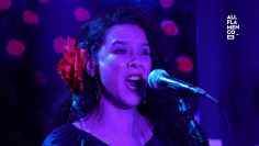 [ID: KE6VJ9jfROo] Youtube Automatic