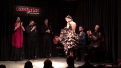 [ID: kkNPywwj5rk] Youtube Automatic