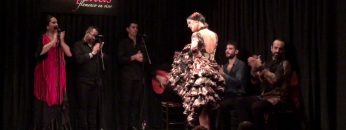 [ID: kkNPywwj5rk] Youtube Automatic