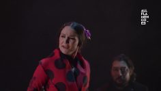 [ID: kLxbg7HLQpo] Youtube Automatic